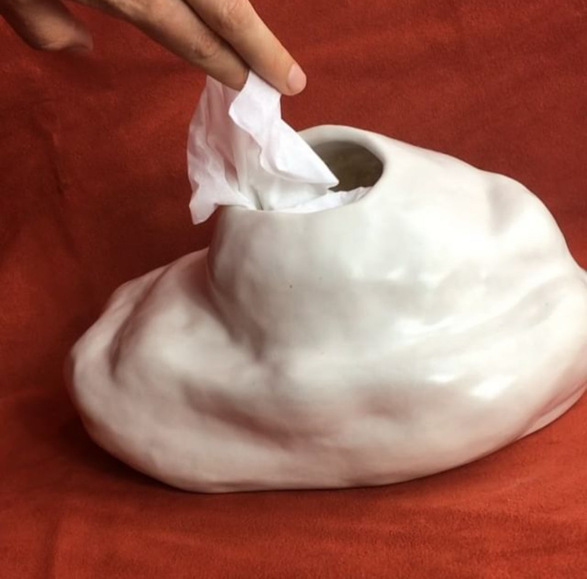 Catherine Flora Murray, Tissue box