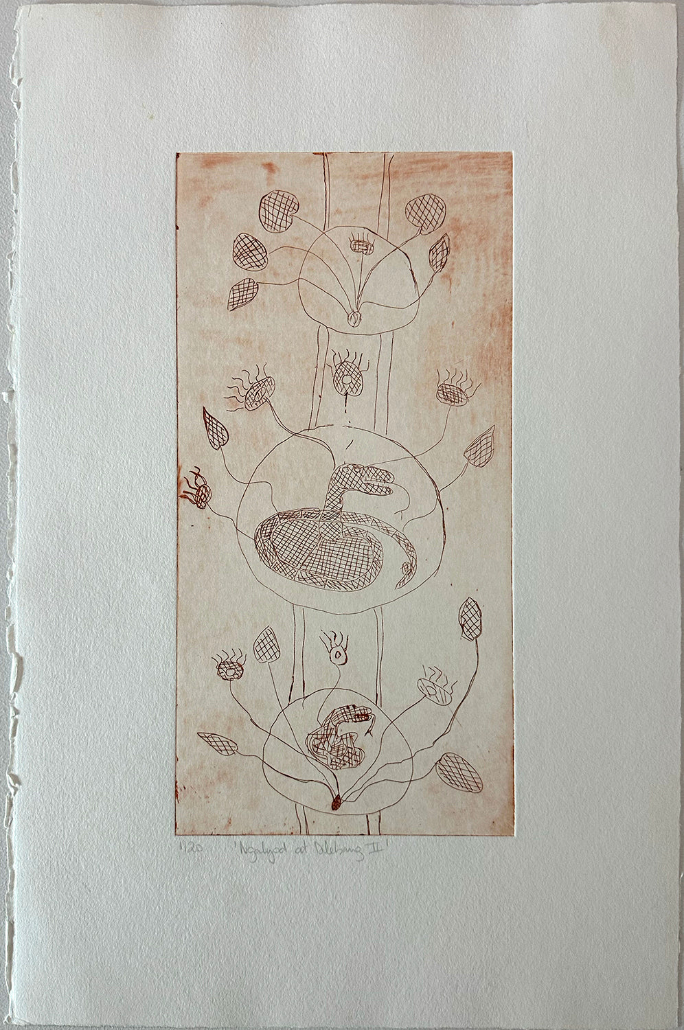 Melba Gunjarrwanga, Ngalyod at Dilebang (I) Orange Sepia