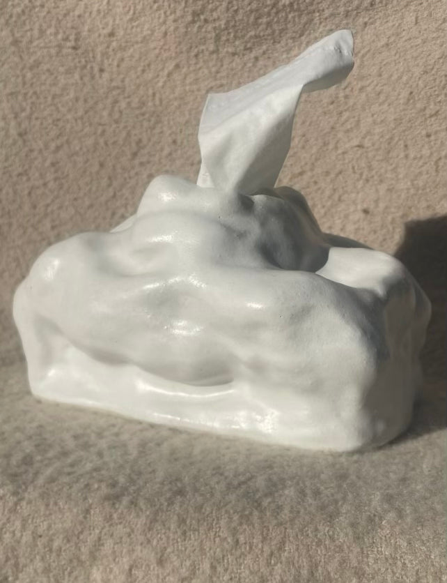 Catherine Flora Murray, Tissue box