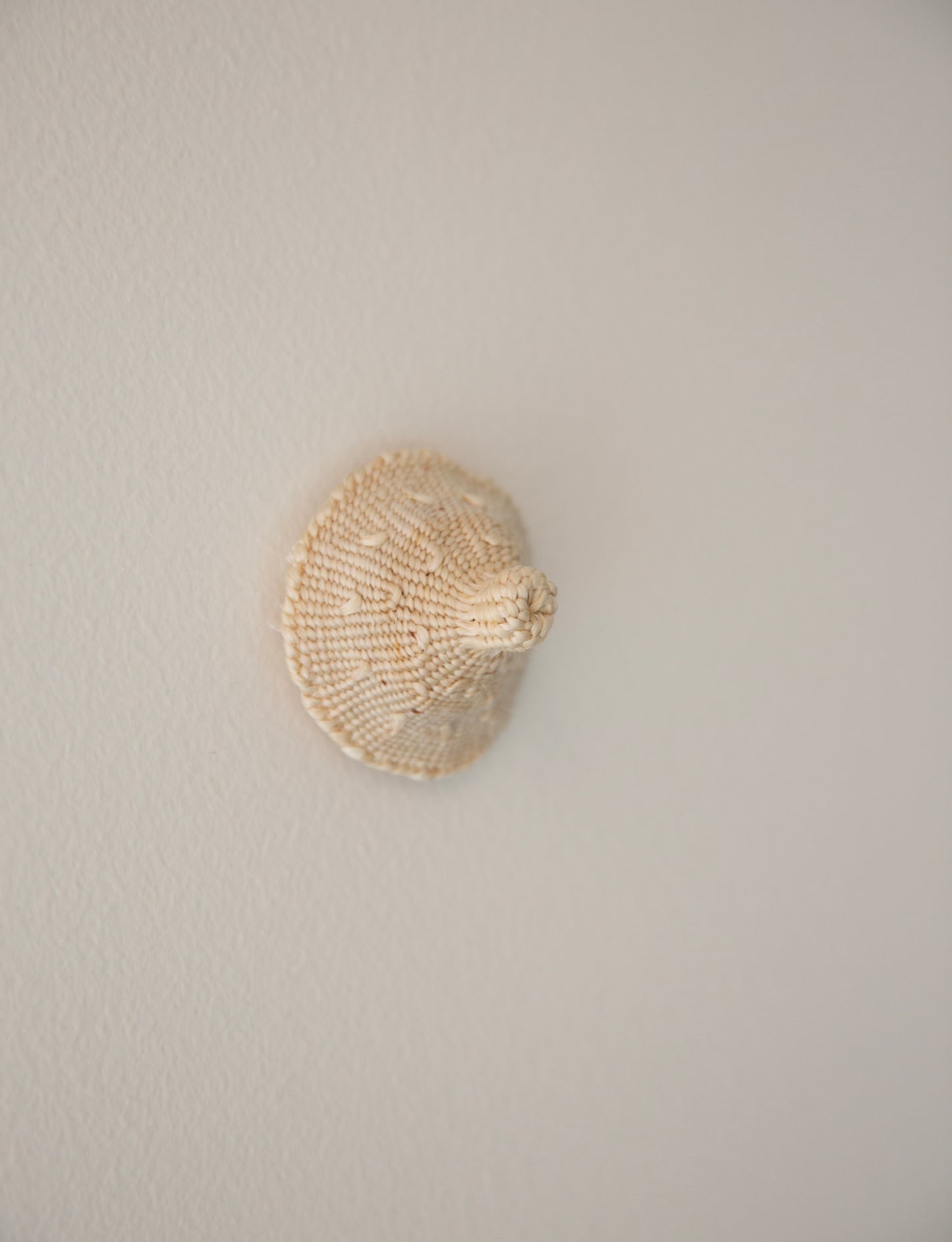 Ming Ranginui, nipping across the ditch