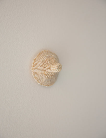 Ming Ranginui, nipping across the ditch