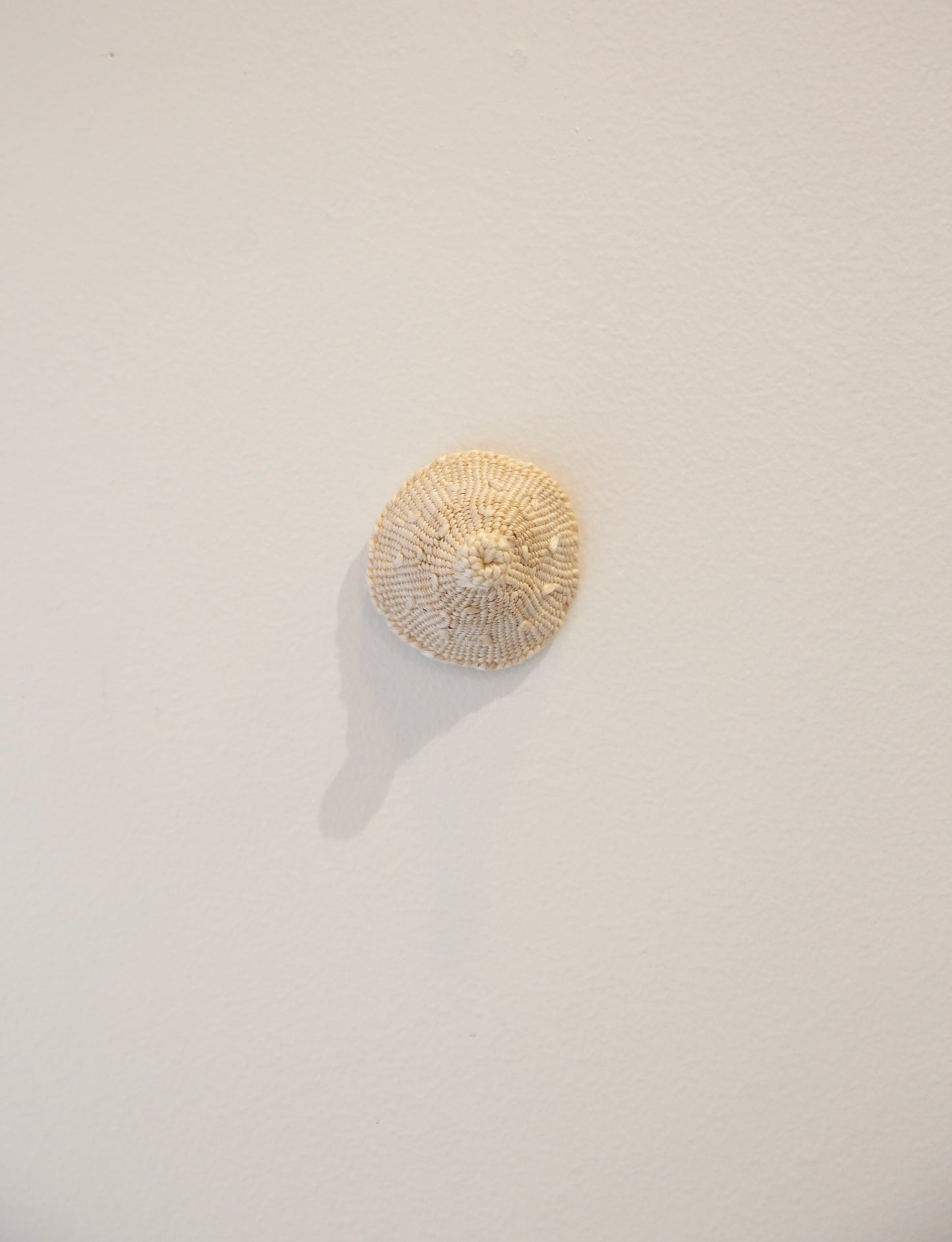 Ming Ranginui, nipping across the ditch