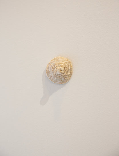 Ming Ranginui, nipping across the ditch