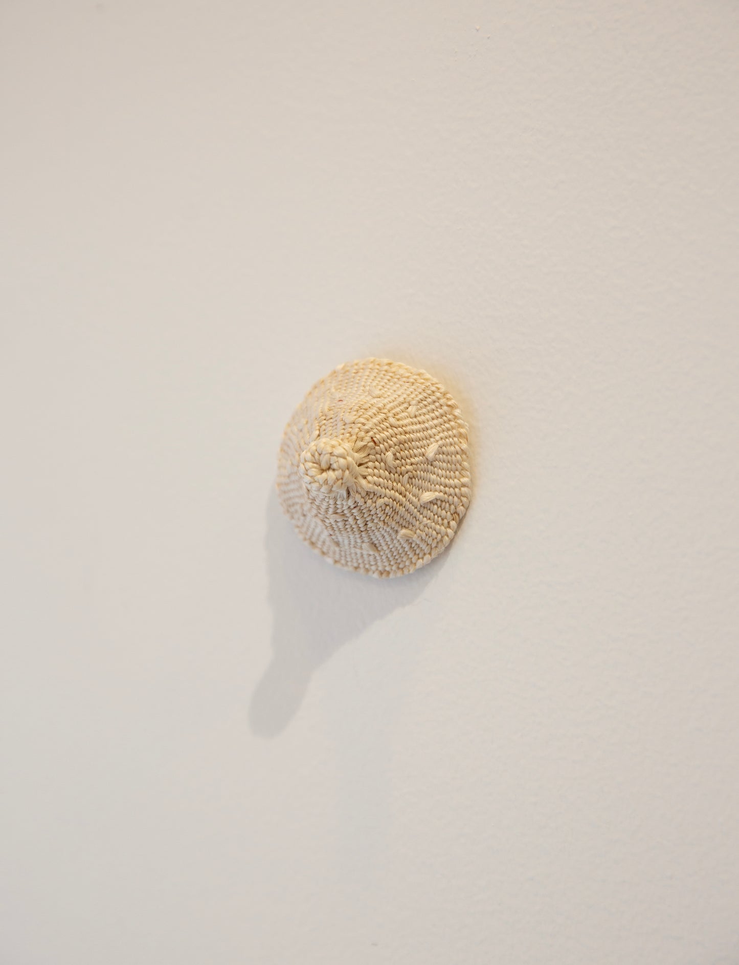 Ming Ranginui, nipping across the ditch