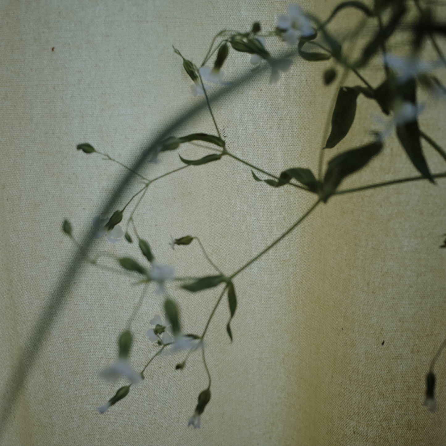 Xu Jing, 20.会好吗 《will be better?》