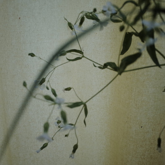 Xu Jing, 20.会好吗 《will be better?》