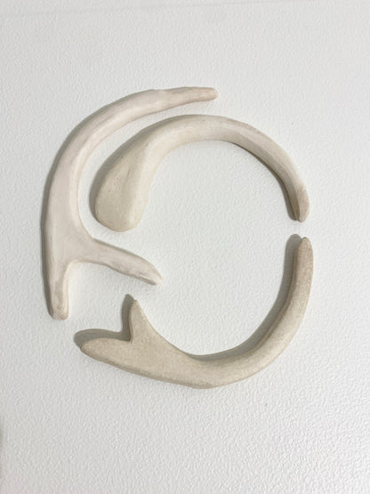 Single prong (bone), 2026