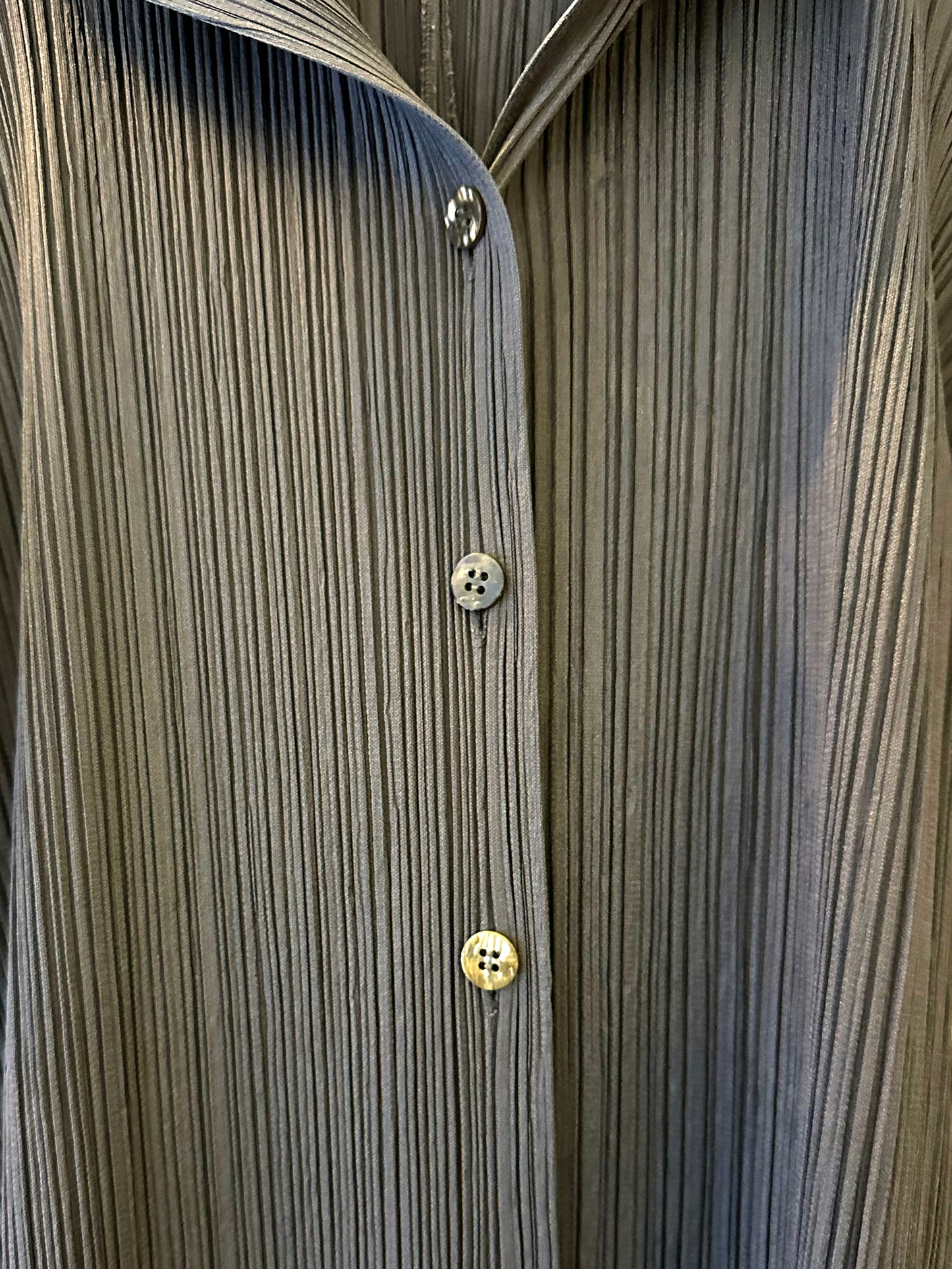 Catherine, Dark grey Pleats Please shirt