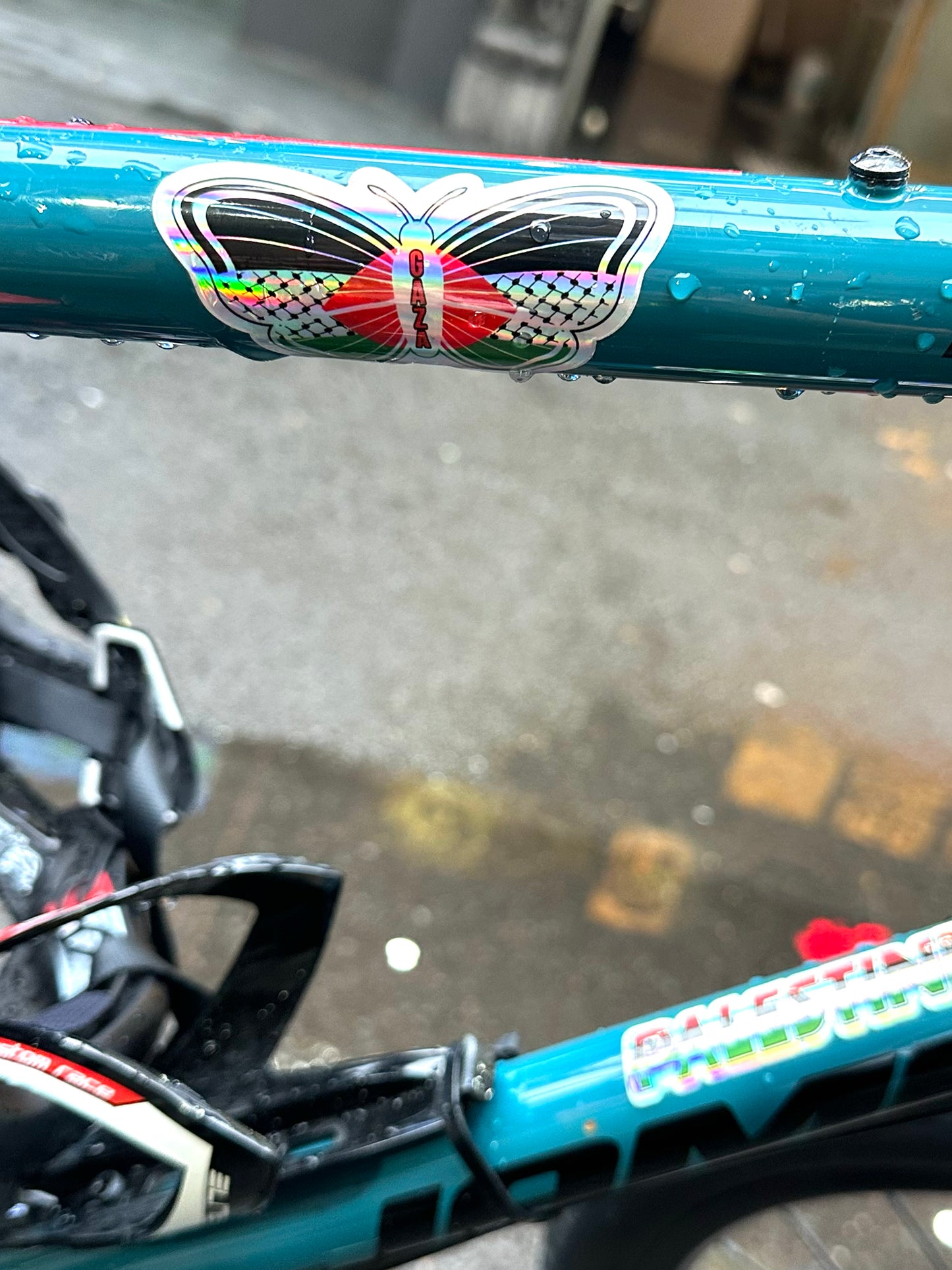 Amanny Ahmad, Butterfly Gaza sticker