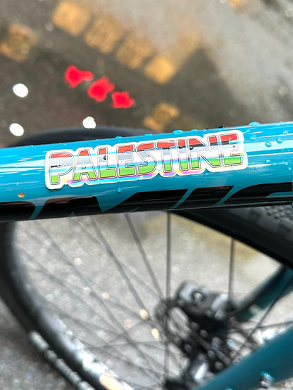 Amanny Ahmad, Palestine sticker