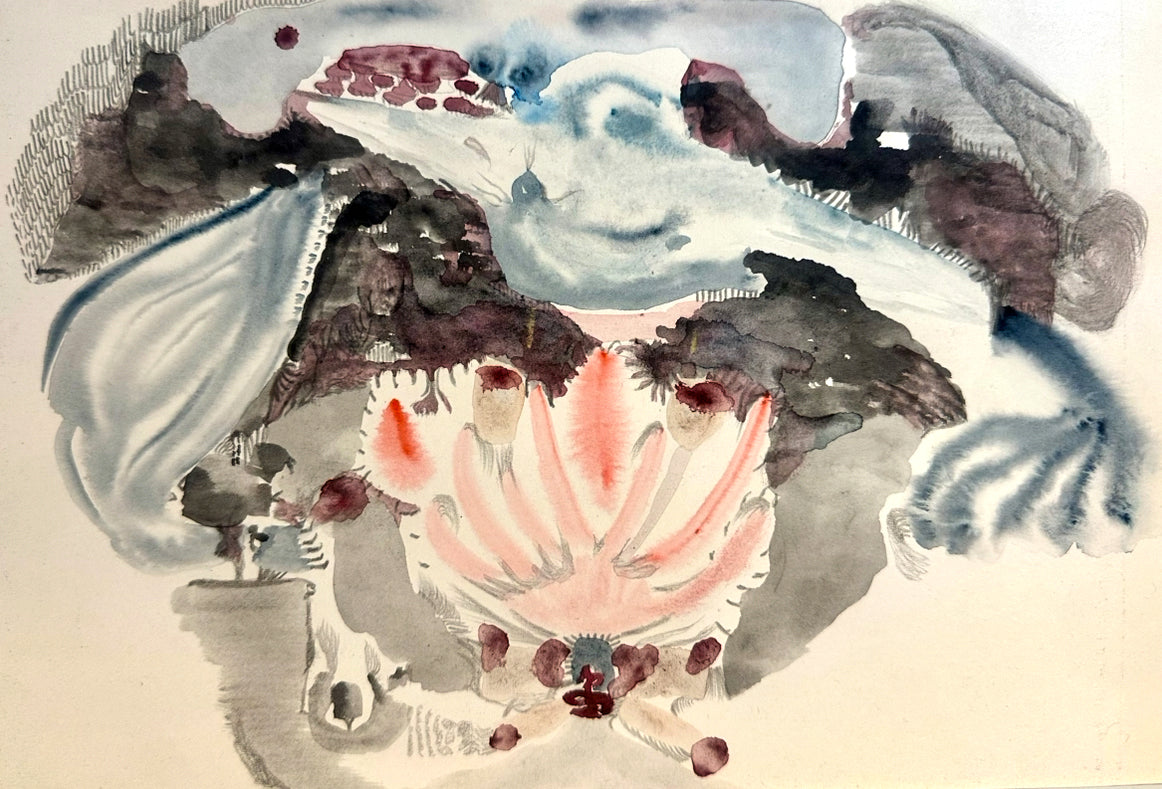 Juke Wyat, Spangled Drongo Habitat