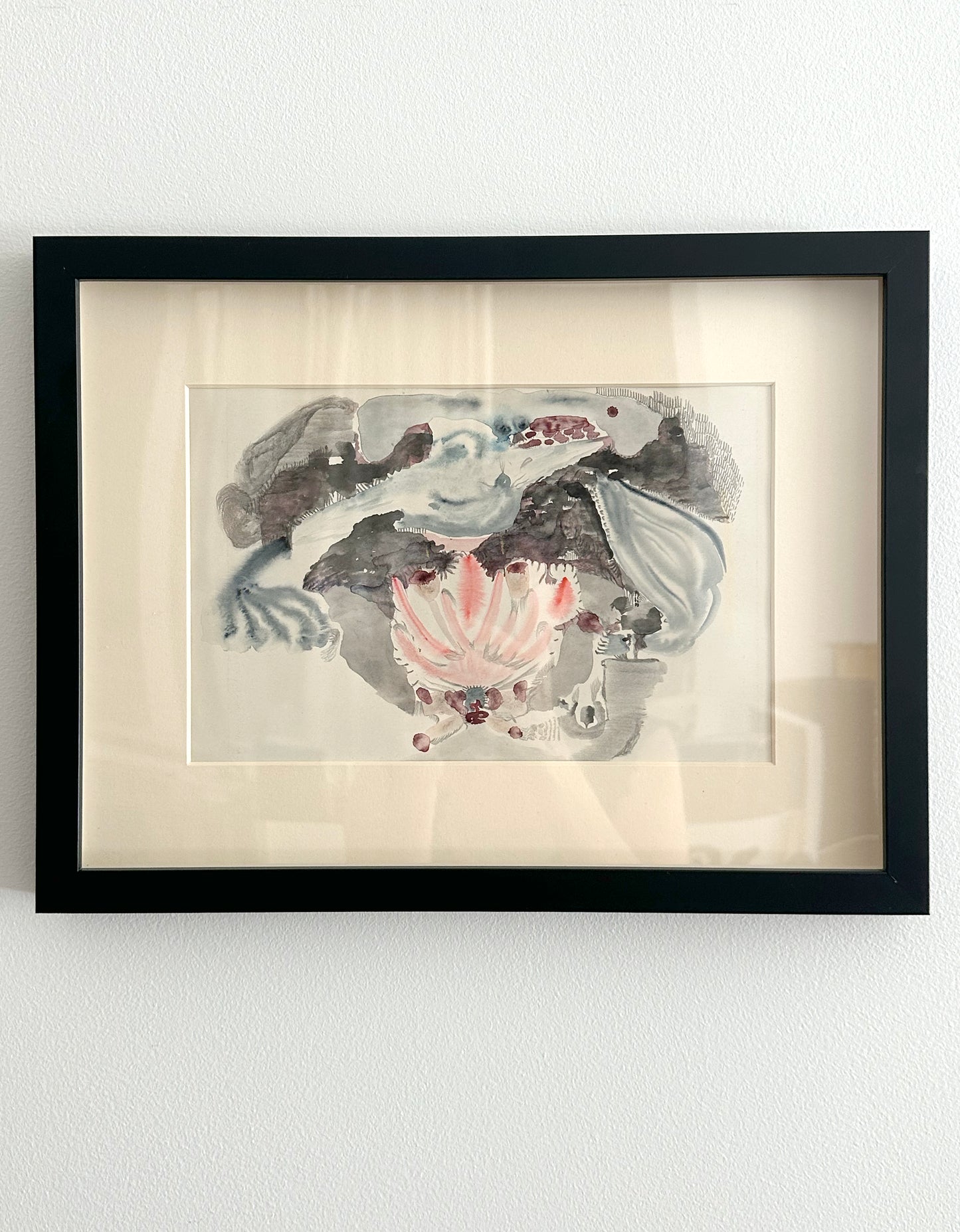 Juke Wyat, Spangled Drongo Habitat