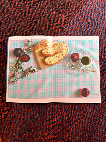 Eleni Christou & Kim Siew, Things We Miss zine