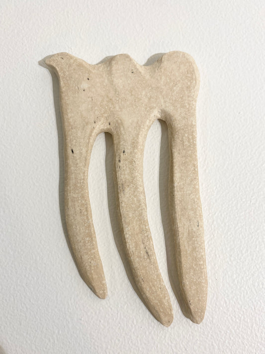 Three prong (bone), 2026