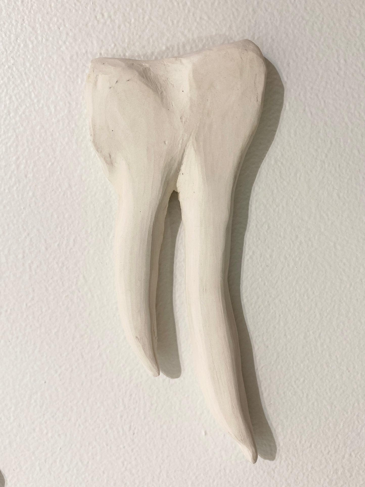 Double prong (bone), 2026