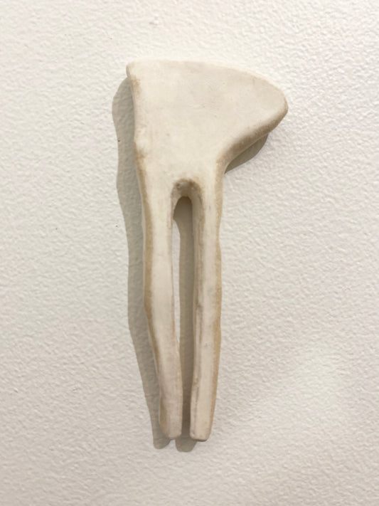 Double prong (bone), 2026