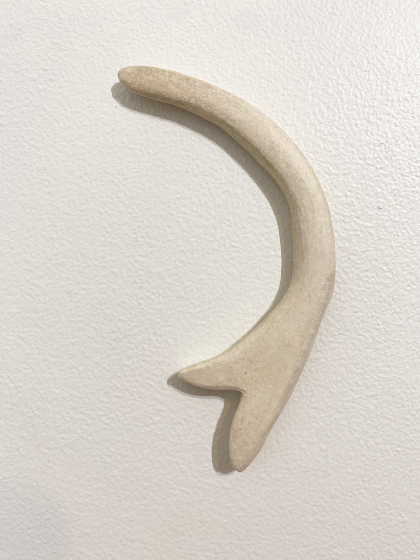 Single prong (bone), 2026