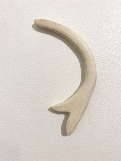 Single prong (bone), 2026