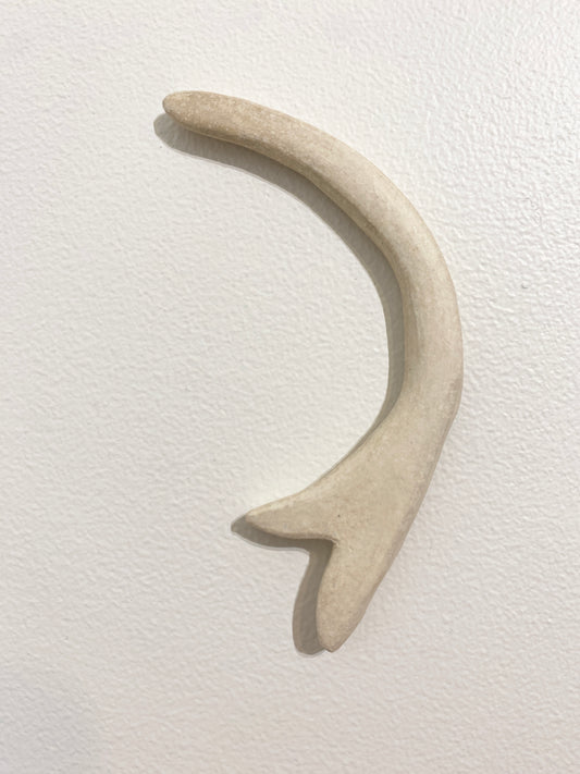 Single prong (bone), 2026