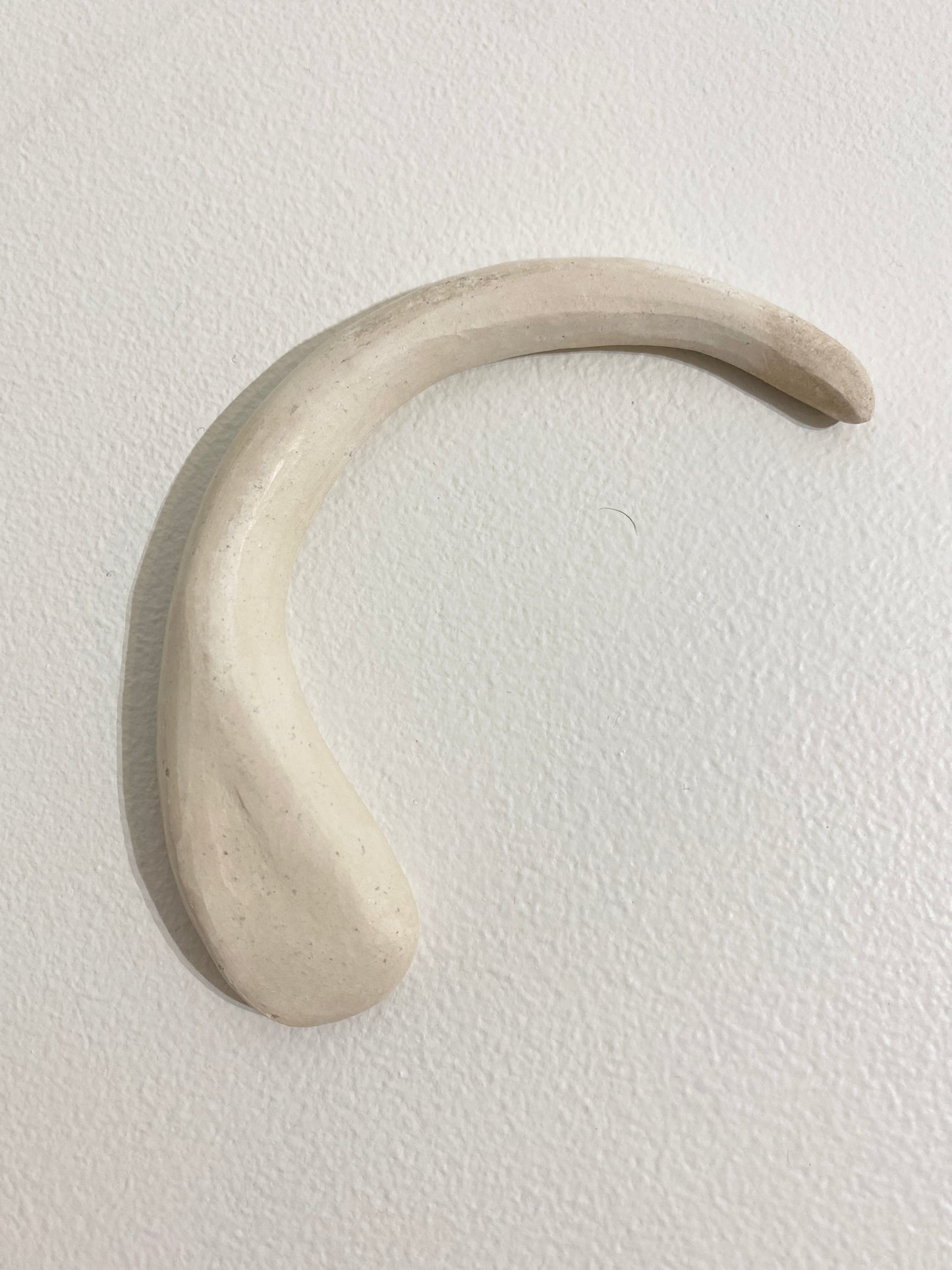 Single prong (bone), 2026