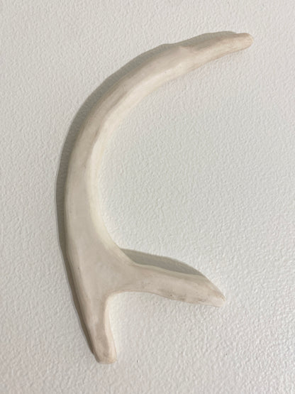 Single prong (bone), 2026