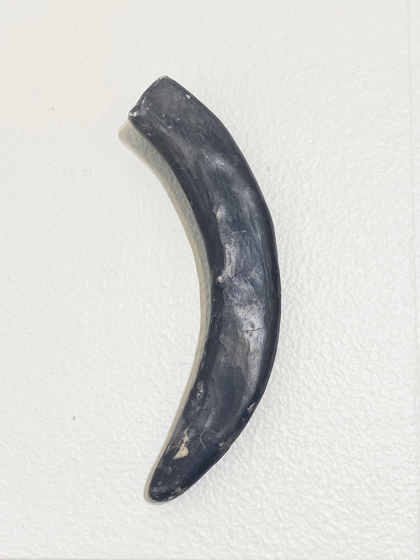 Single prong (dark), 2026