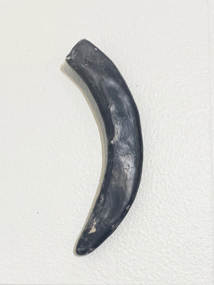 Single prong (dark), 2026